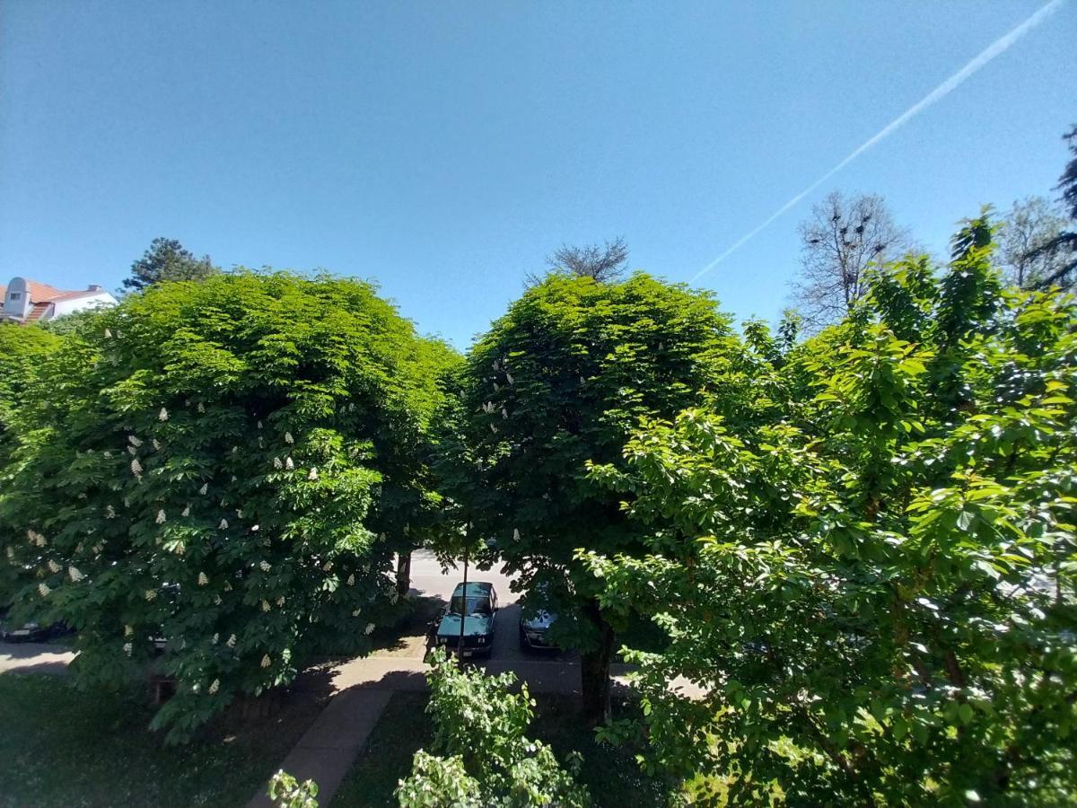 Apartmani Sofronic Loznica 1 Luaran gambar